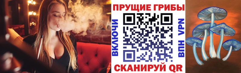 Галлюциногенные грибы Psilocybe  купить  цена  Североуральск 