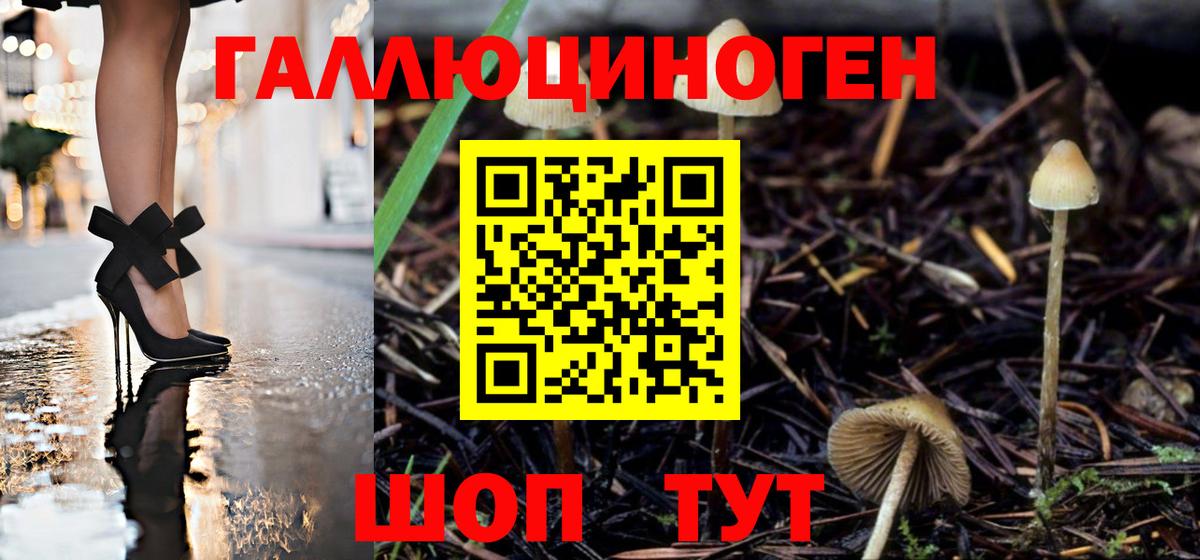 А ПВП Североуральск