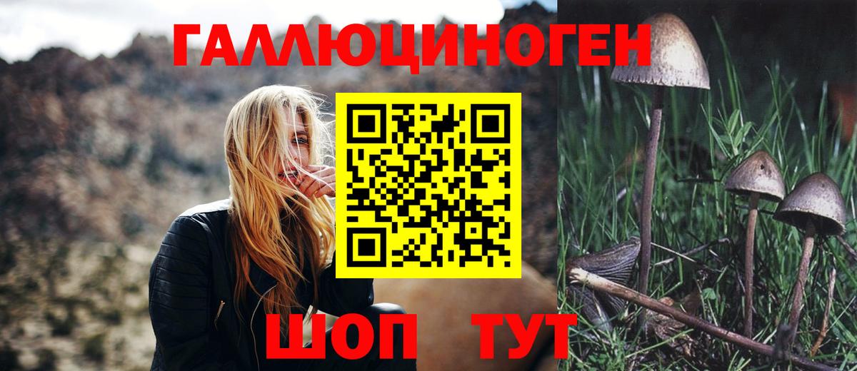 Североуральск  Галлюциногенные грибы прущие грибы  Вход с VPN 