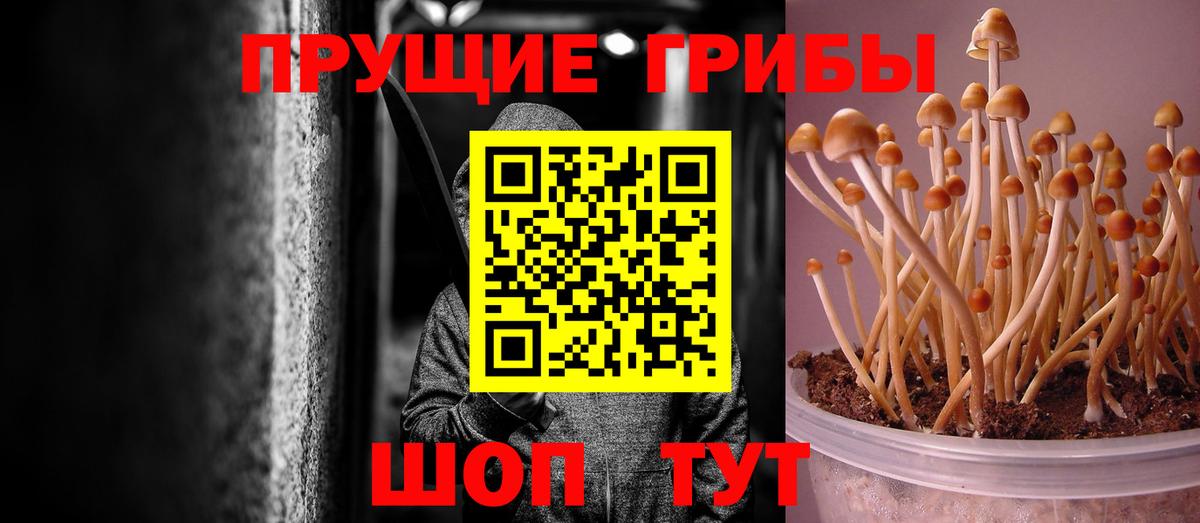 Североуральск  Вход с VPN  Как найти наркотики?  МАРИХУАНА  Меф кристаллы  ГАШИШ 
