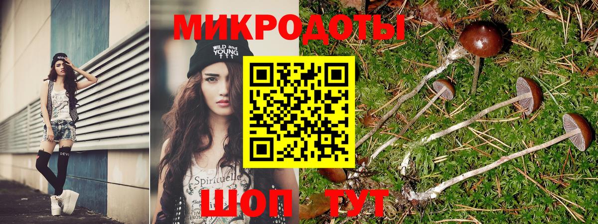 Псилоцибиновые грибы мицелий Североуральск